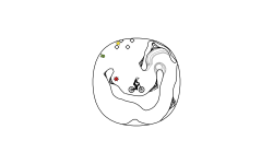Eli's circle