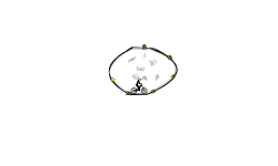Fishbowl #3
