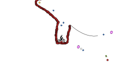 Pro AUTO TRACK