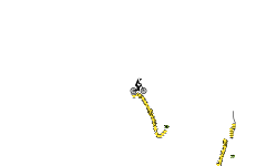 300 STAR HOLD UP (BMX)