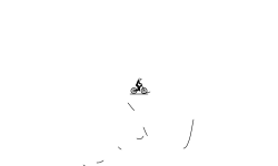 dont move(MTB) hold dirve(BMX)