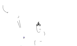 ..............................