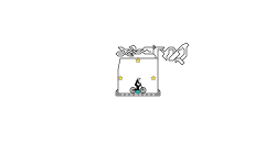 Zero G Box
