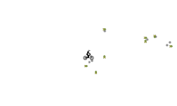 short square auto