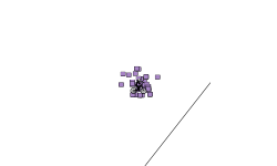 short blob run (auto)