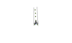 BMX OR MTB