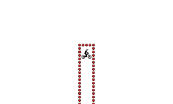 1000 star loop