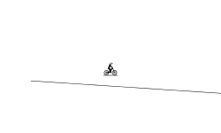 the race?