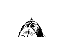 third eye open