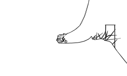 Skill Track