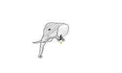 Tried2draw
