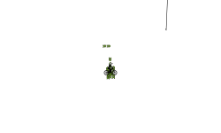 heli