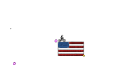 USA flag