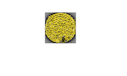 The 1000 Star Circles