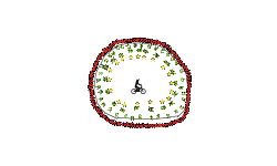 BMX  BIKE 5!!!!!!!!!!!