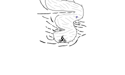 Rift