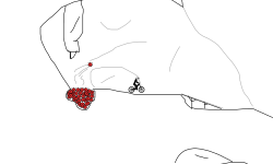 MORE DETAIL!!!