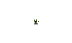 Random Auto