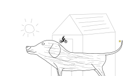 dog