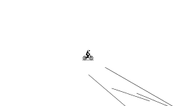 the bird