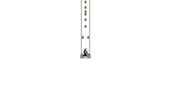 do not quetion the weird canno