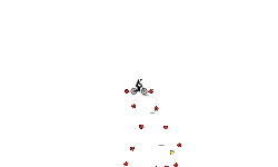 Ninja Skillz #1