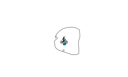 dont move