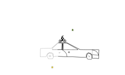the car troll