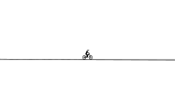 The Race