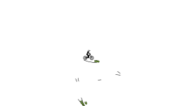 Quick Draw #4