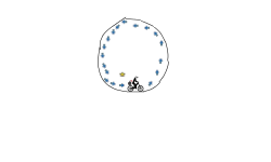 spinny thing