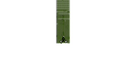 Upside down head glitch