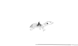 Turtle track