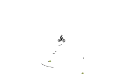 short auto