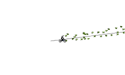 Super sonic speed