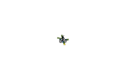 Another weird track by me