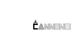 cannon500