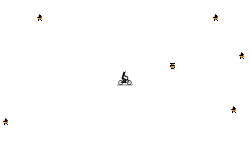 fly