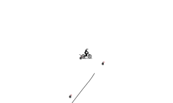 Insane Auto