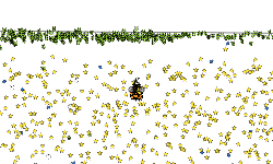 500 star helicopter challenge
