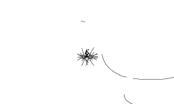 Epic Tricks(AUTO 3)