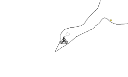 HD flying Flamingos