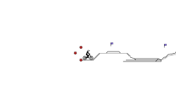 challenge#9