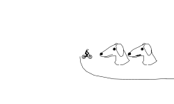 dog gives you the side eye