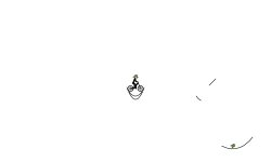 aoto