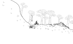 jungle