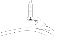 The Free Brid Fliper