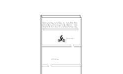 Endurance