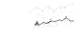 Mountain climb