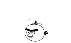 Angry Bird